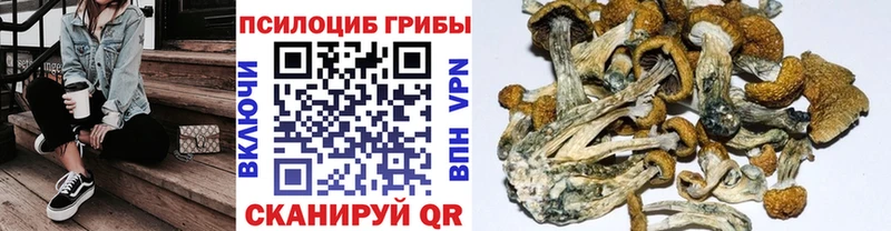 Псилоцибиновые грибы GOLDEN TEACHER  Тимашёвск 